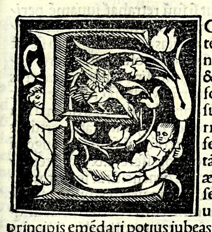 An illustration from Genealogiae Joannis Boccatii : cum demonstrationibus in formis arborũ designatis : eiusdẽ de mõtibus [et] syluis, de fontibus, lacubus [et] fluminibus : ac etiã de stagnis [et] paludibus, necnon [et] de maribus, seu diuersis maris nominibus, 1511, leaf 41