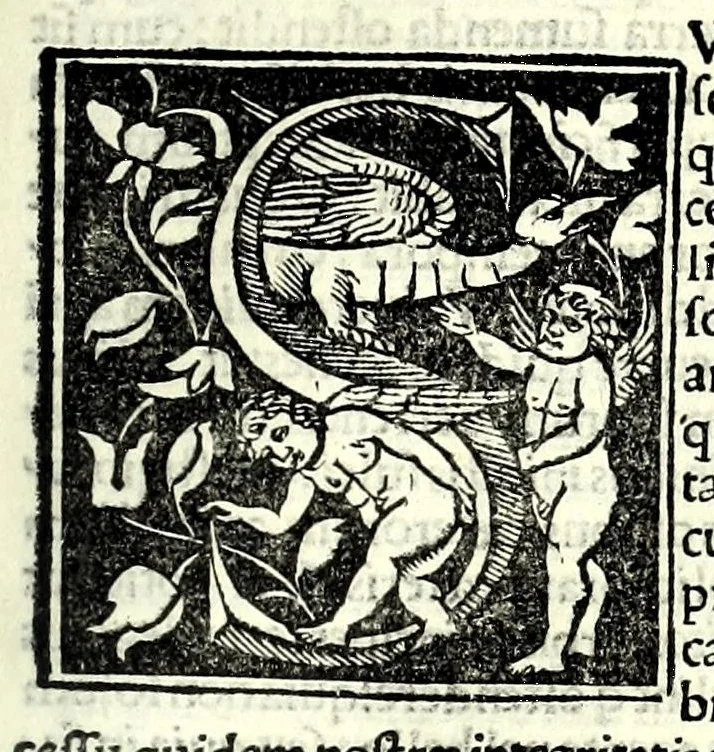An illustration from Genealogiae Joannis Boccatii : cum demonstrationibus in formis arborũ designatis : eiusdẽ de mõtibus [et] syluis, de fontibus, lacubus [et] fluminibus : ac etiã de stagnis [et] paludibus, necnon [et] de maribus, seu diuersis maris nominibus, 1511, leaf 55