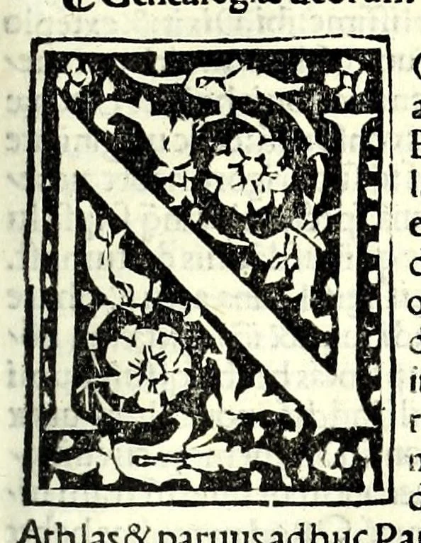An illustration from Genealogiae Joannis Boccatii : cum demonstrationibus in formis arborũ designatis : eiusdẽ de mõtibus [et] syluis, de fontibus, lacubus [et] fluminibus : ac etiã de stagnis [et] paludibus, necnon [et] de maribus, seu diuersis maris nominibus, 1511, leaf 89
