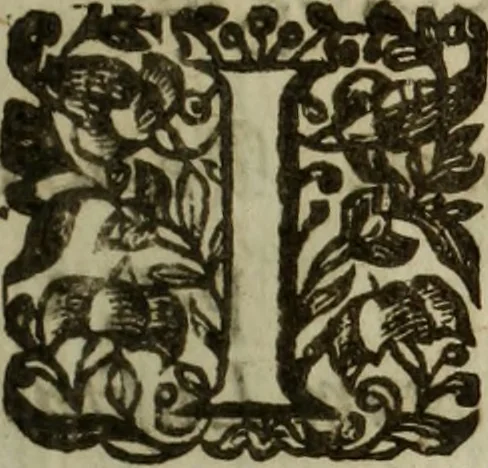 An illustration from Genealogia regum Lusitaniae, 1643, leaf 8