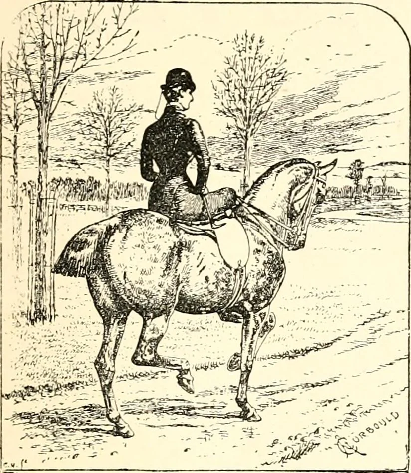 An illustration from A genealogical and heraldic history of the landed gentry of Great Britain & Ireland, 1894, leaf 1187