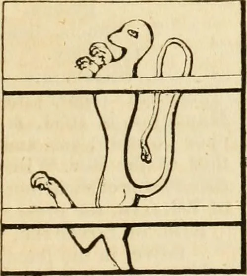 An illustration from A genealogical and heraldic history of the commoners of Great Britain and Ireland, enjoying territorial possessions or high official rank; but univested with heritable honours, 1838, leaf 122