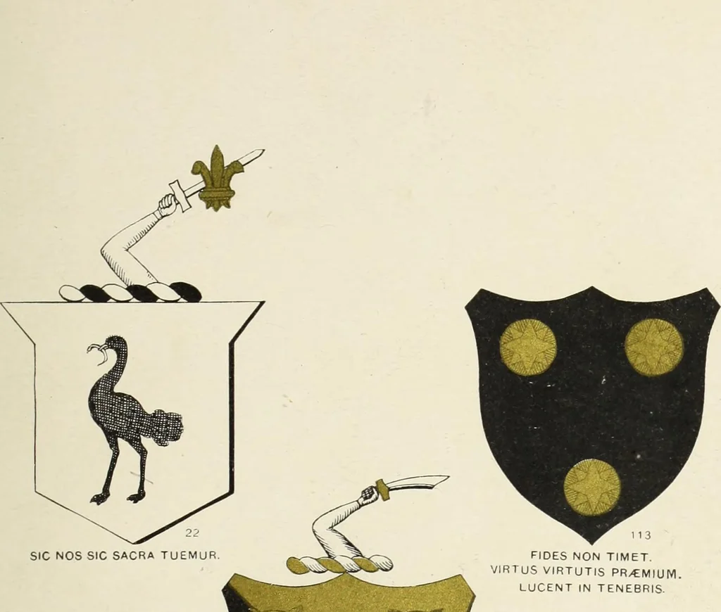 An illustration from A genealogical history of Irish families : with their crests and armorial bearings, 1895, leaf 151