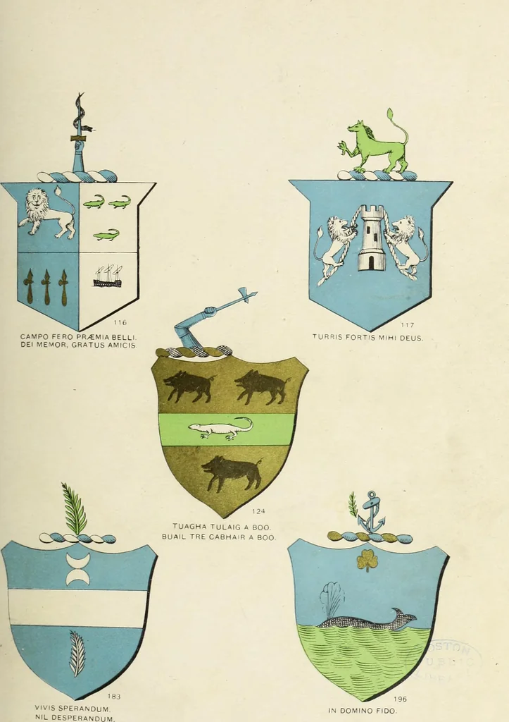 An illustration from A genealogical history of Irish families : with their crests and armorial bearings, 1895, leaf 167