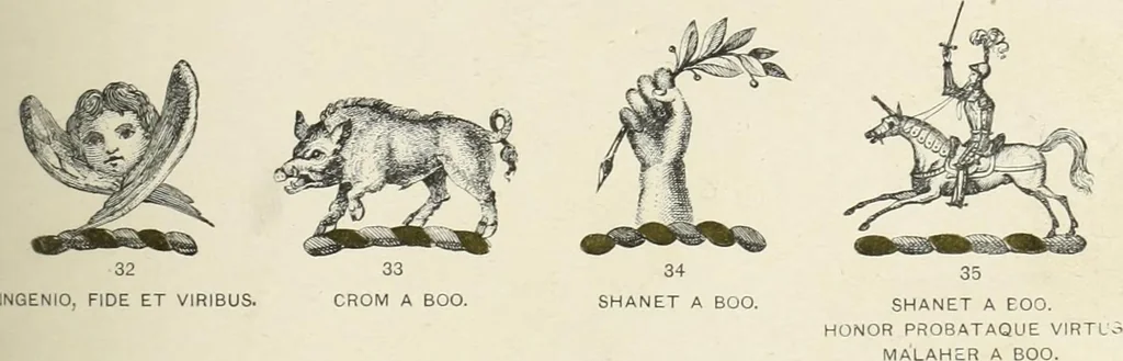 An illustration from A genealogical history of Irish families : with their crests and armorial bearings, 1895, leaf 183