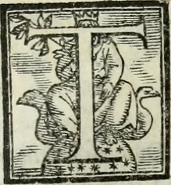 An illustration from Geneologia de gli dei : i qvin deci libri, 1547, leaf 100