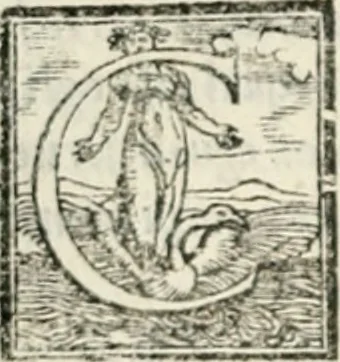 An illustration from Geneologia de gli dei : i qvin deci libri, 1547, leaf 109