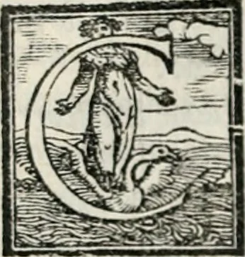 An illustration from Geneologia de gli dei : i qvin deci libri, 1547, leaf 183