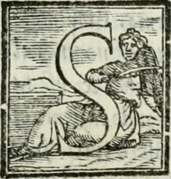An illustration from Geneologia de gli dei : i qvin deci libri, 1547, leaf 208
