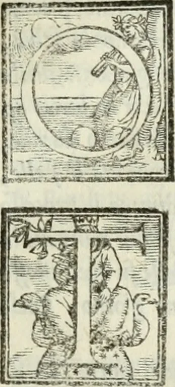An illustration from Geneologia de gli dei : i qvin deci libri, 1547, leaf 224