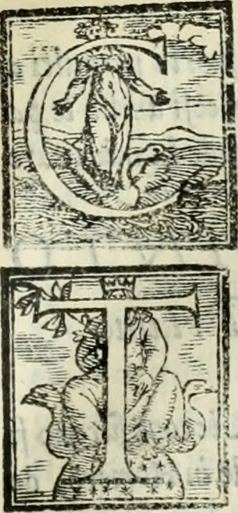 An illustration from Geneologia de gli dei : i qvin deci libri, 1547, leaf 246