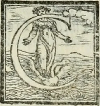 An illustration from Geneologia de gli dei : i qvin deci libri, 1547, leaf 248