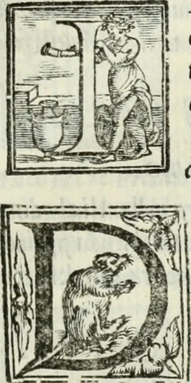 An illustration from Geneologia de gli dei : i qvin deci libri, 1547, leaf 250