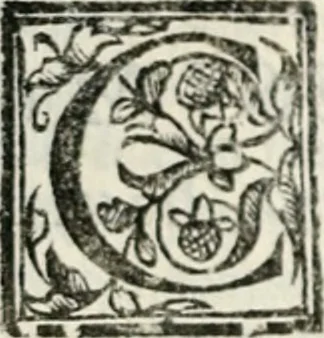 An illustration from Geneologia de gli dei : i qvin deci libri, 1547, leaf 253