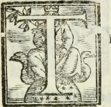An illustration from Geneologia de gli dei : i qvin deci libri, 1547, leaf 262
