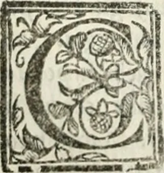 An illustration from Geneologia de gli dei : i qvin deci libri, 1547, leaf 273
