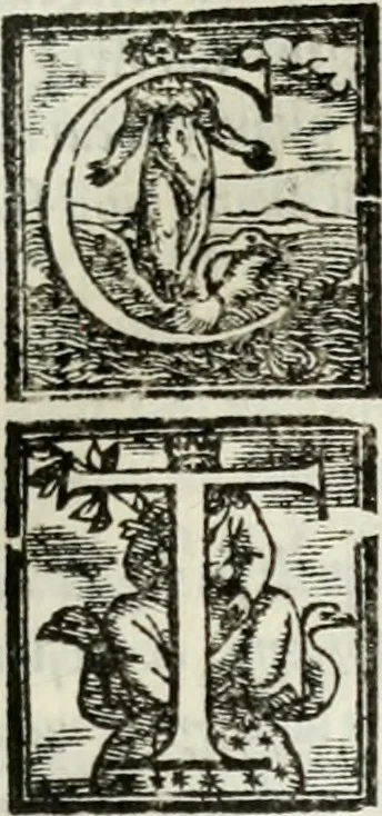 An illustration from Geneologia de gli dei : i qvin deci libri, 1547, leaf 276