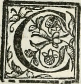 An illustration from Geneologia de gli dei : i qvin deci libri, 1547, leaf 297