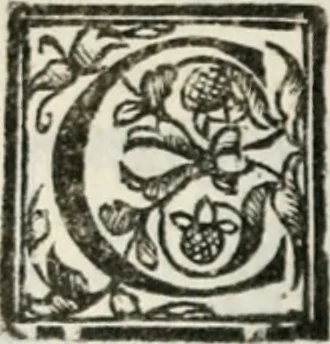 An illustration from Geneologia de gli dei : i qvin deci libri, 1547, leaf 299