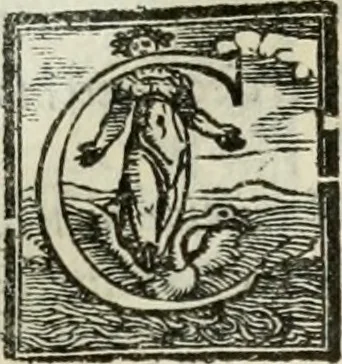 An illustration from Geneologia de gli dei : i qvin deci libri, 1547, leaf 30