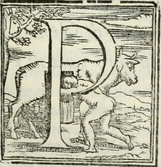 An illustration from Geneologia de gli dei : i qvin deci libri, 1547, leaf 300