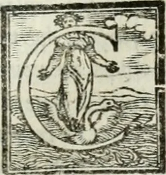 An illustration from Geneologia de gli dei : i qvin deci libri, 1547, leaf 306