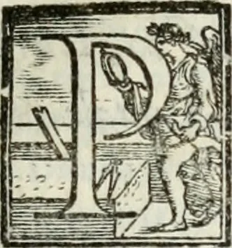 An illustration from Geneologia de gli dei : i qvin deci libri, 1547, leaf 316
