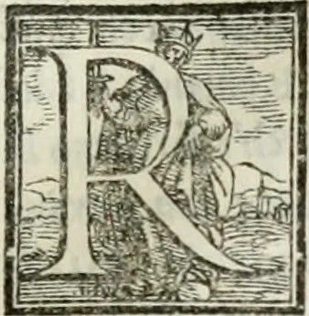 An illustration from Geneologia de gli dei : i qvin deci libri, 1547, leaf 356