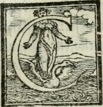 An illustration from Geneologia de gli dei : i qvin deci libri, 1547, leaf 36