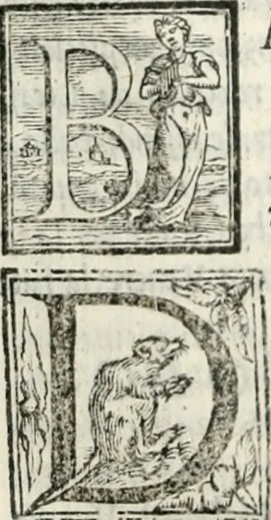 An illustration from Geneologia de gli dei : i qvin deci libri, 1547, leaf 363