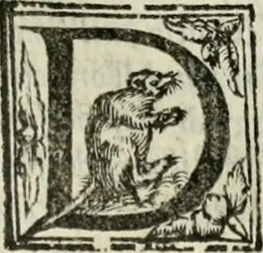 An illustration from Geneologia de gli dei : i qvin deci libri, 1547, leaf 376