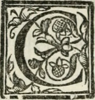 An illustration from Geneologia de gli dei : i qvin deci libri, 1547, leaf 379