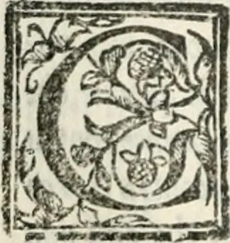 An illustration from Geneologia de gli dei : i qvin deci libri, 1547, leaf 381