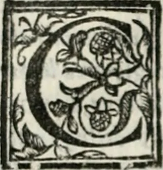 An illustration from Geneologia de gli dei : i qvin deci libri, 1547, leaf 39