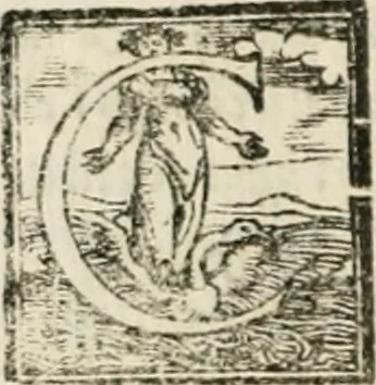 An illustration from Geneologia de gli dei : i qvin deci libri, 1547, leaf 403