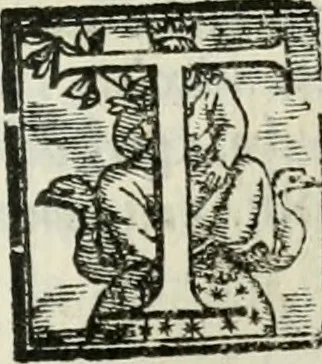 An illustration from Geneologia de gli dei : i qvin deci libri, 1547, leaf 438