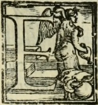 An illustration from Geneologia de gli dei : i qvin deci libri, 1547, leaf 442