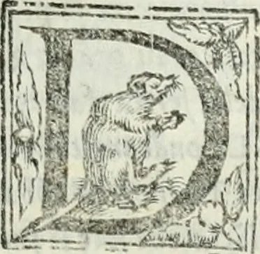 An illustration from Geneologia de gli dei : i qvin deci libri, 1547, leaf 452