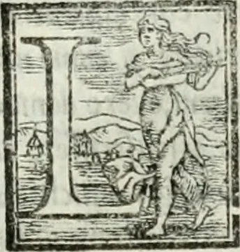 An illustration from Geneologia de gli dei : i qvin deci libri, 1547, leaf 456