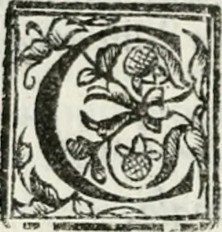 An illustration from Geneologia de gli dei : i qvin deci libri, 1547, leaf 463