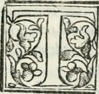 An illustration from Geneologia de gli dei : i qvin deci libri, 1547, leaf 481