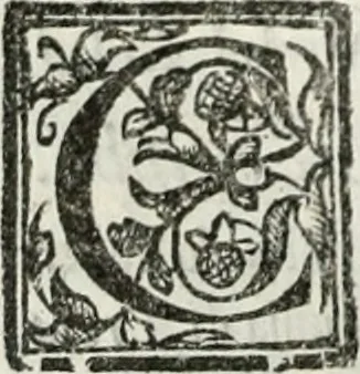 An illustration from Geneologia de gli dei : i qvin deci libri, 1547, leaf 481