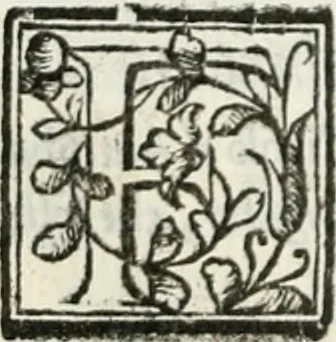 An illustration from Geneologia de gli dei : i qvin deci libri, 1547, leaf 491