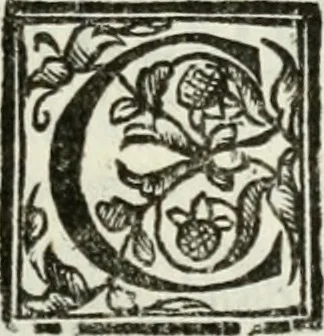 An illustration from Geneologia de gli dei : i qvin deci libri, 1547, leaf 492