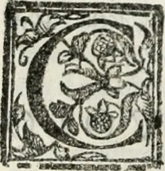 An illustration from Geneologia de gli dei : i qvin deci libri, 1547, leaf 497