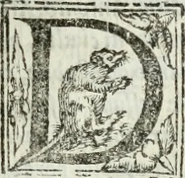 An illustration from Geneologia de gli dei : i qvin deci libri, 1547, leaf 528