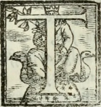 An illustration from Geneologia de gli dei : i qvin deci libri, 1547, leaf 56