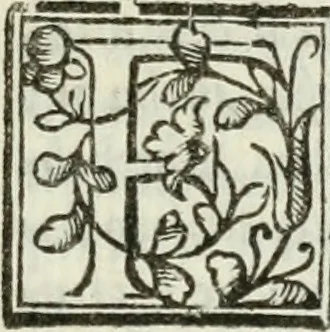 An illustration from Geneologia de gli dei : i qvin deci libri, 1547, leaf 570