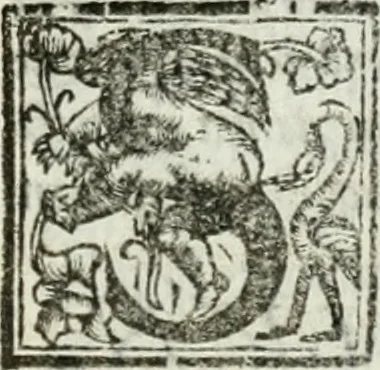 An illustration from Geneologia de gli dei : i qvin deci libri, 1547, leaf 578