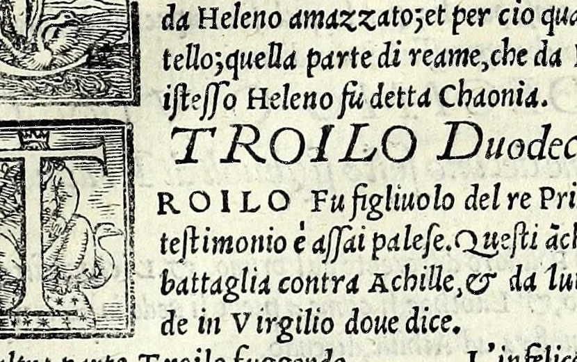 An illustration from Geneologia de gli dei : i quin deci libri di M. Giouanni Boccaccio, sopra la origine et discendenza di tutti gli dei de' gentili, con la spositione & sensi allegorici delle fauole, & con la dichiaratione dell'historie appartenenti à detta materia, 1547, leaf 247